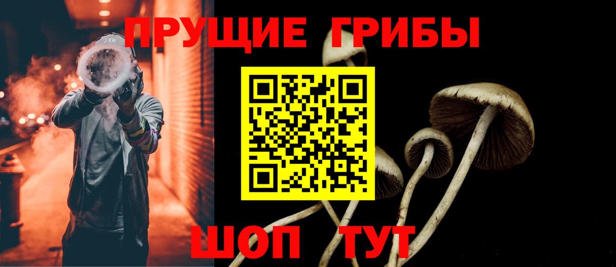 Галлюциногенные грибы прущие грибы Зеленогорск