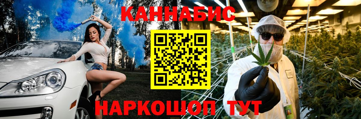 Конопля план  Шишки марихуана планчик  Бошки марихуана планчик  Зеленогорск  Вход с VPN  Канабис THC 21% 